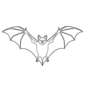 desenho de bastão para colorir