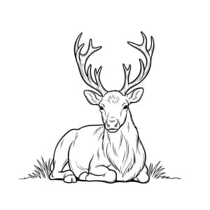 Desenhos para Colorir de Natal