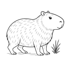 Capivara Simples para Colorir