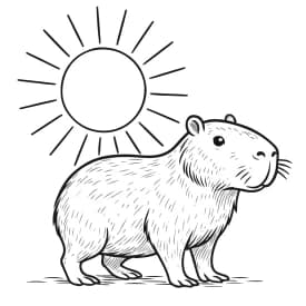 Capivara ao Sol para Colorir