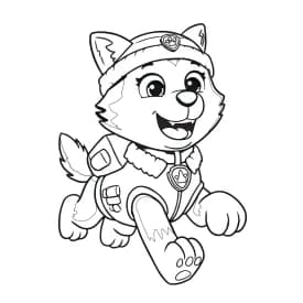 Desenho do Ryder da Patrulha Canina para Colorir - Em Ação Desenho da Everest da Patrulha Canina Correndo para Colorir