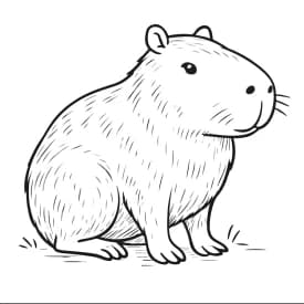 Capivara Sentada para Colorir