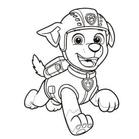 Desenho da Patrulha Canina para Colorir - Equipe Reunida com Marshall, Chase, Rubble, Rocky e Skye Desenho do Zuma da Patrulha Canina para Colorir