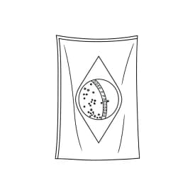 desenho da bandeira do Brasil para colorir