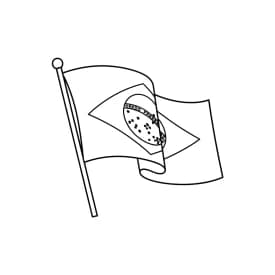 desenho da bandeira do Brasil para colorir