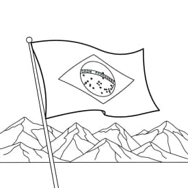 desenho da bandeira do Brasil para colorir