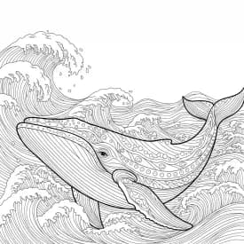 desenho de Adult para colorir