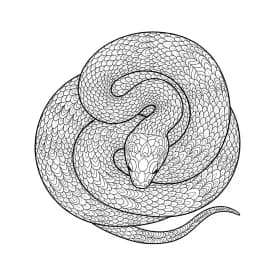 desenho de Adult para colorir