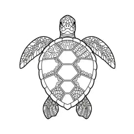 desenho de Adult para colorir