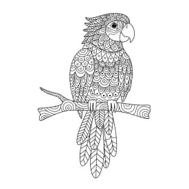 desenho de Adult para colorir