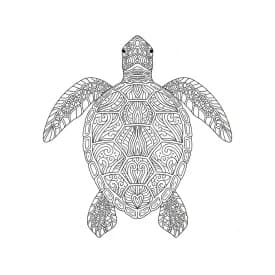 desenho de Adult para colorir