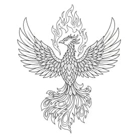 desenho de Adult para colorir