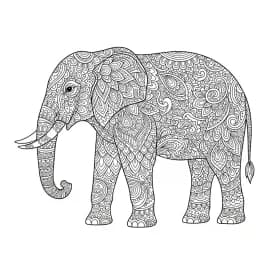 Desenho de Adult para Colorir e Imprimir desenho de Adult para colorir