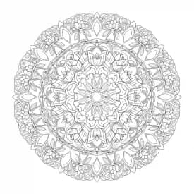 desenho de Adult para colorir