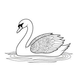 desenho de Adult para colorir