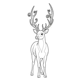 desenho de Adult para colorir