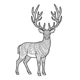 desenho de Adult para colorir