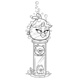 desenho de Angry Birds