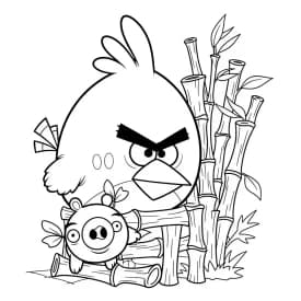 Desenho de Angry Birds para Colorir e Imprimir desenho de Angry Birds