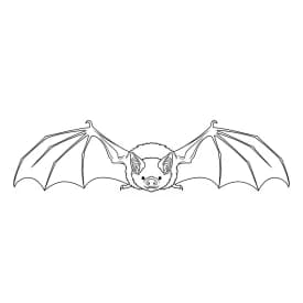 desenho de bastão para colorir