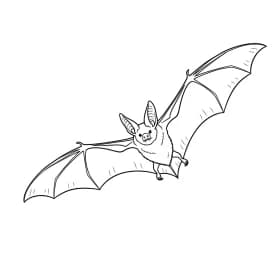 desenho de bastão para colorir