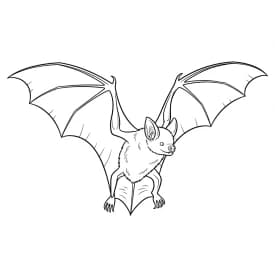 desenho de bastão para colorir