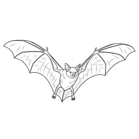 desenho de bastão para colorir