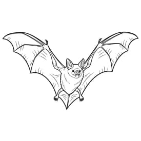 Desenho de Bastão para Colorir e Imprimir desenho de bastão para colorir