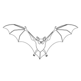 Desenho de Bastão para Colorir e Imprimir desenho de bastão para colorir