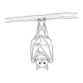 Desenho de Bastão para Colorir e Imprimir desenho de bastão para colorir