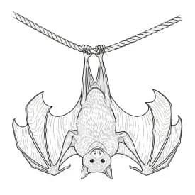 desenho de bastão para colorir