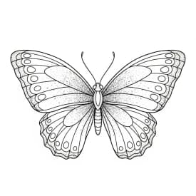 Desenho de Borboleta para Colorir e Imprimir