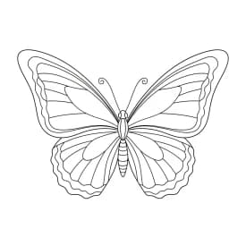 Desenho de Borboleta para Colorir e Imprimir Desenho de Borboleta para Colorir e Imprimir
