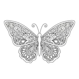 Desenho de Borboleta para Colorir e Imprimir Desenho de Borboleta para Colorir e Imprimir