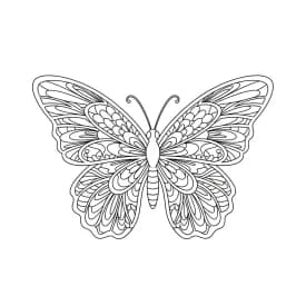 Desenho de Borboleta para Colorir e Imprimir Desenho de Borboleta para Colorir e Imprimir