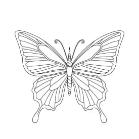 Desenho de Borboleta para Colorir e Imprimir Desenho de Borboleta para Colorir e Imprimir