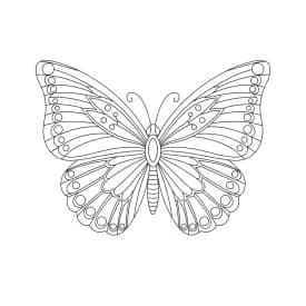 Desenho de Borboleta para Colorir e Imprimir