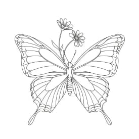 Desenho de Borboleta para Colorir e Imprimir Desenho de Borboleta para Colorir e Imprimir