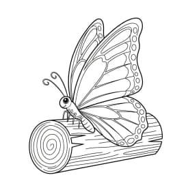 Desenho de Borboleta para Colorir e Imprimir Desenho de Borboleta para Colorir e Imprimir