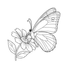 Desenho de Borboleta para Colorir e Imprimir Desenho de Borboleta para Colorir e Imprimir