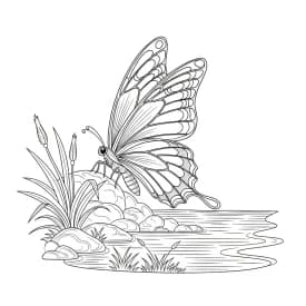 Desenho de Borboleta para Colorir e Imprimir Desenho de Borboleta para Colorir e Imprimir