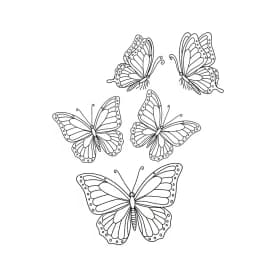 Desenho de Borboleta para Colorir e Imprimir