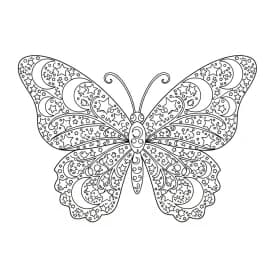 Desenho de Borboleta para Colorir e Imprimir