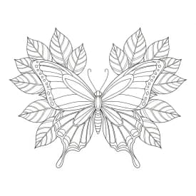 Desenho de Borboleta para Colorir e Imprimir