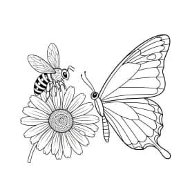 Desenho de Borboleta para Colorir e Imprimir