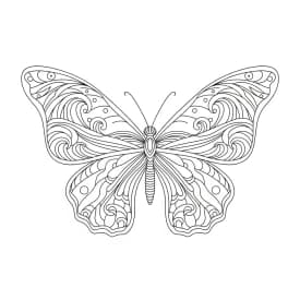 Desenho de Borboleta para Colorir e Imprimir