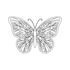 Desenho de Borboleta para Colorir e Imprimir