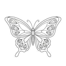 Desenho de Borboleta para Colorir e Imprimir