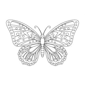 Desenho de Borboleta para Colorir e Imprimir