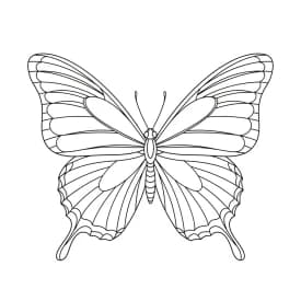 Desenho de Borboleta para Colorir e Imprimir